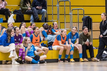 Bild 567 - wBJ NFV Futsalmeisterschaft